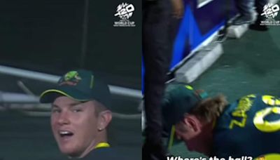 Watch: Scenes From Gully Cricket as Adam Zampa Searches for 'Lost Ball' Inside Advertising Board - News18