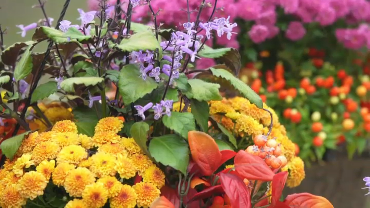 California Flower Market extends to 24-hours on Saturday for Mother's Day