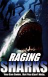 Raging Sharks