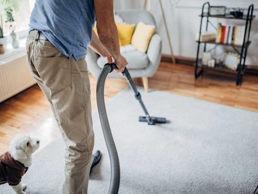 10 Best Vacuum Cleaners Options for Every Budget