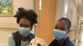 Would your pup make a good therapy dog? Morristown hospital offers advice for pet owners