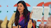 'Domestic Violence Increasing Due To...': Mahila Congress Chief Alka Lamba's Bizarre Remark On Inflation