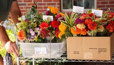 'The human joy department': How Omaha wedding flowers get a second life with seniors