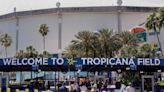 Will a spike in attendance help Rays get a stadium built in St. Pete?