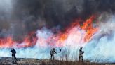 Wildfire smoke exposure linked with higher dementia risk