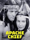 Apache Chief (film)