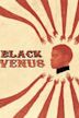 Black Venus (1983 film)