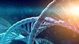 Genetic variation may raise risk for obesity sixfold