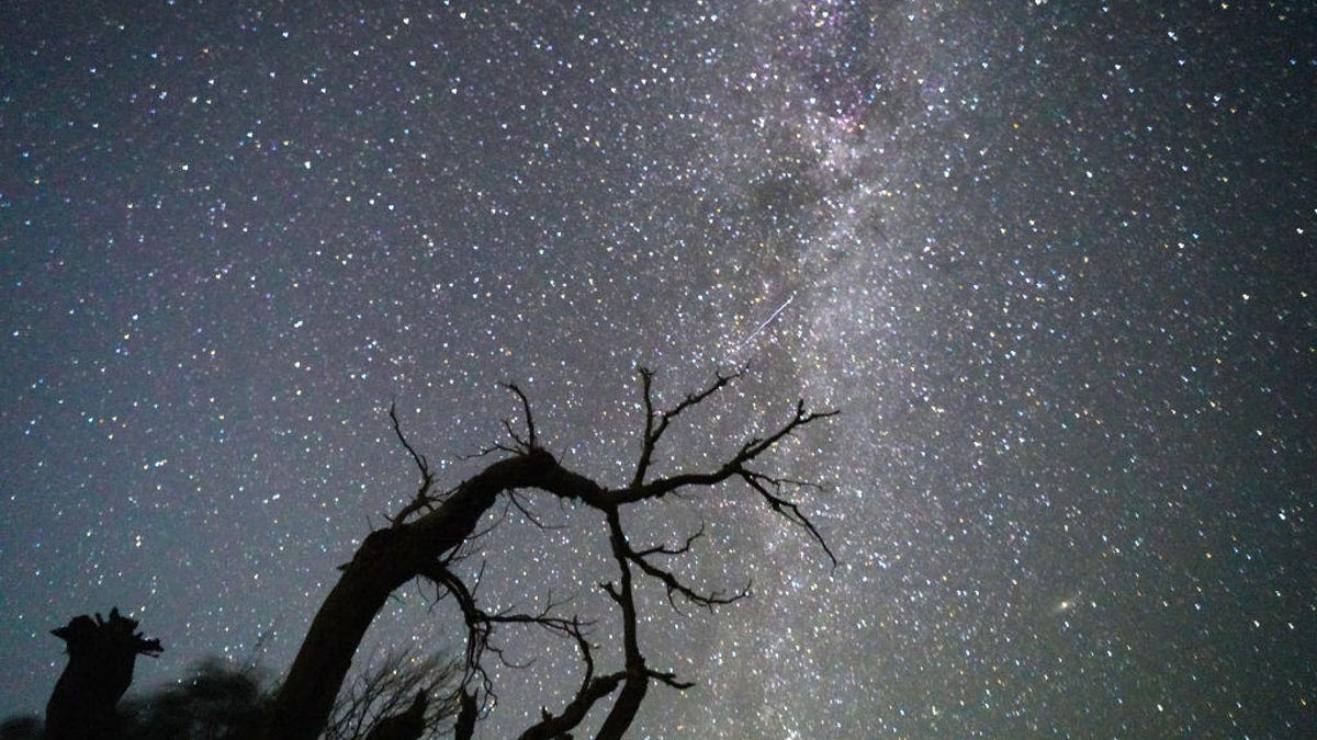 Perseids Meteor Shower Will Peak in August: Here's How to Watch