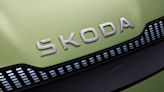 Brownfield investments, mixed plant usage, may make Skoda go for new EV policy