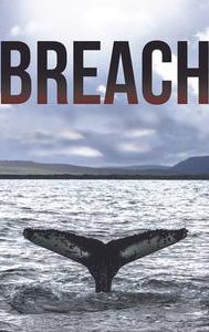 Breach