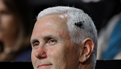 Pence says he won't vote for Trump, not because he wanted Pence hanged, but because Trump's not conservative enough