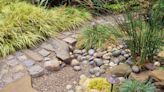 "Rain gardens" are the genius landscaping trick that will stop your yard getting waterlogged – and they look good, too