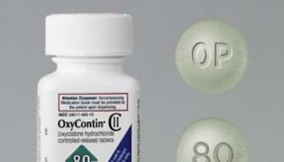 Divided Over Purdue Pharma Deal, SCOTUS Unites in Accepting a Dubious OxyContin Narrative