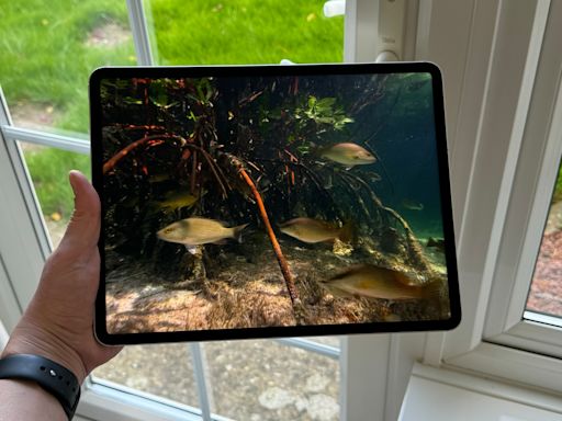 iPad Pro OLED: release date rumours, predicted price and specs