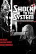 Shock to the System: A Donald Strachey Mystery