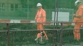 East Kilbride dog in hi-vis spotted working hard at new train station