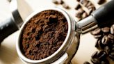 Will Westrock Coffee Company, LLC (WEST) Continue Its Strong Track Record?