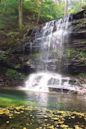 Ricketts Glen State Park