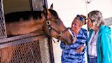 'A lot of screaming going on': Ocala farm cheered as horse it broke won the Kentucky Derby