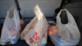 Lawrence ban on single-use plastic bags goes into effect this week