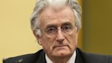 Radovan Karadzic Fast Facts