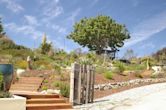 Arboretum at the University of California, Santa Cruz