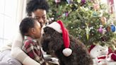 For the fur babies: Pet-perfect holiday gifts by Black-owned brands