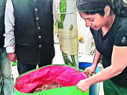 City residents take up home composting | Jaipur News - Times of India