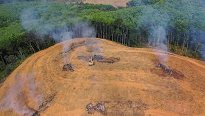 Fired up: unsurprising delay to EU deforestation regulation sparks NGO anger