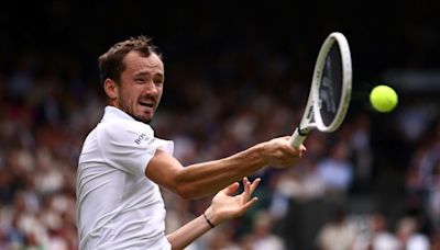 Medvedev called umpire 'small cat' during Wimbledon rant