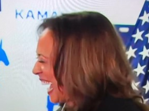 How is Kamala Harris' campaign handling the 'Brat' memes after Joe Biden's resignation? - The Economic Times