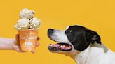 Van Leeuwen Launches an Ice Cream for Dogs