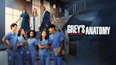 Will There Be a Grey’s Anatomy Season 21 Release Date & Is It Coming Out?