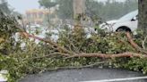 'Very scary:' Severe weather leaves trail of damage in Martin County