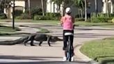 WATCH: Massive alligator and Florida bicyclist have close encounter