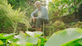 Why Sir David Attenborough wants you to leave a spoonful of sugar in your garden