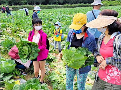 清境星空季、梅峰蔬食活動 接力登場