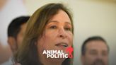 Rocío Nahle encabeza las preferencias electorales en Veracruz con 57% de los votos; Morena mantiene el estado