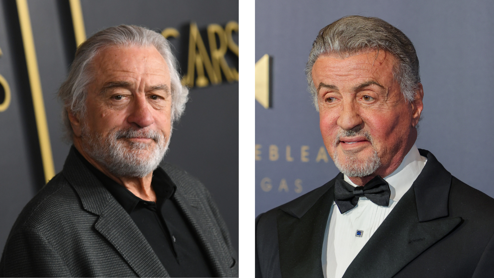 Sylvester Stallone Turned Down Work with Robert De Niro Over His 'Wokeness'?