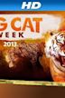 Big Cat Week