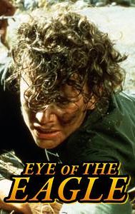 Eye of the Eagle (1987 film)