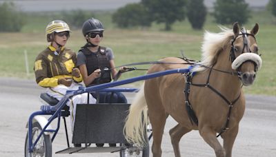 Gaitway Farm in Manalapan could be replaced by warehouses, skating rink under this plan