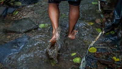 Número de mortes por leptospirose chega a 15 no Rio Grande do Sul | Brasil | O Dia