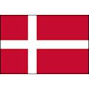 Denmark national association football team