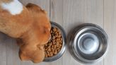 Dog food recall sparks warning for pet owners