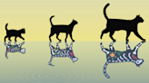 Physicists Create the Fattest Schrödinger's Cat Ever