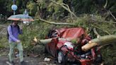 Caída de árboles en CABA: calles cortadas, autos destrozados, trenes que no funcionan y los cinco barrios más complicados por el temporal