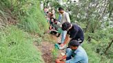 Van Mahotsav: 1,300 saplings planted at Nauni farm varsity