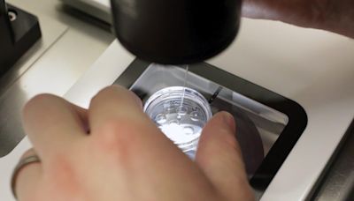 House Democrats push for federal IVF protections